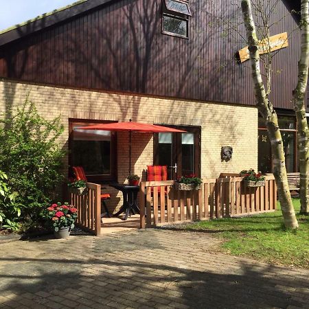 Bed and Breakfast De Vier Berken 2 Де-Коог Екстер'єр фото